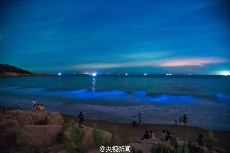 矮人国之战3中文无敌版