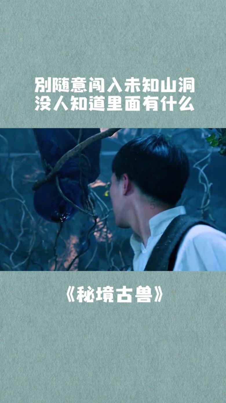 质量效应：仙女座