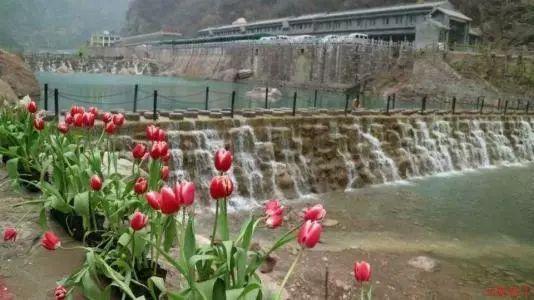 这个同学的腿为什么一条粗一条细？