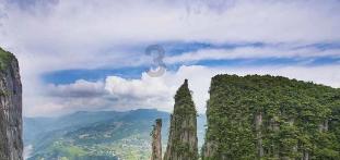 明确10种联农带农模式助增收