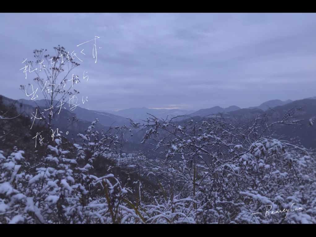 救援小老鼠