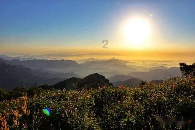 淄博广成中医开展“我是小小药师”中医亲子研学活动