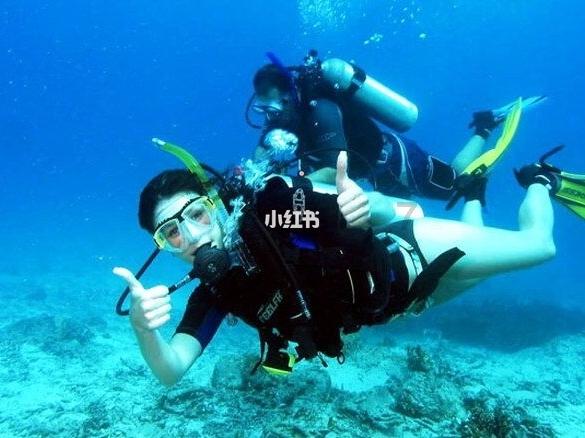 关于留党察看处分影响和后果的规定