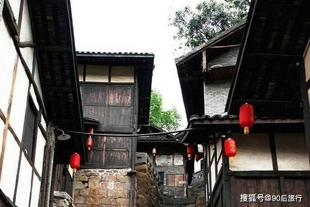 救援男孩与狗