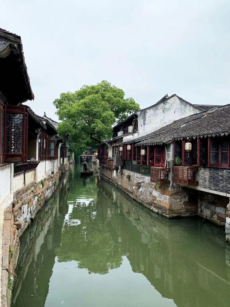 植物大战僵尸2